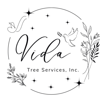 Vida Tree Services Inc logo – professional tree service company in Santa Rosa CA serving Sonoma County